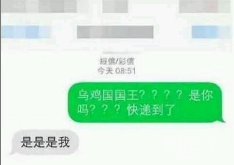 你是乌鸡国国王？？ 图片