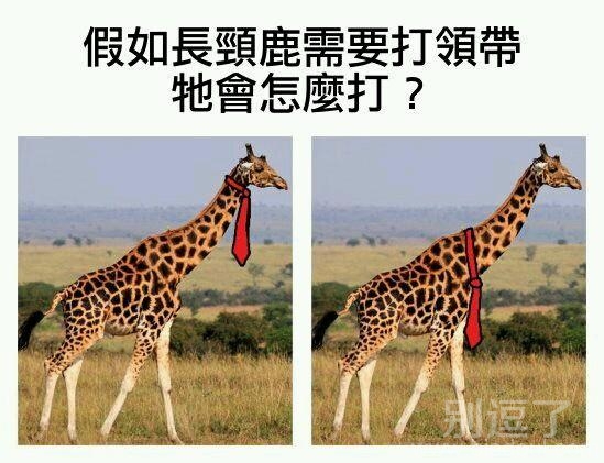 当他有了领带之后。。 图片