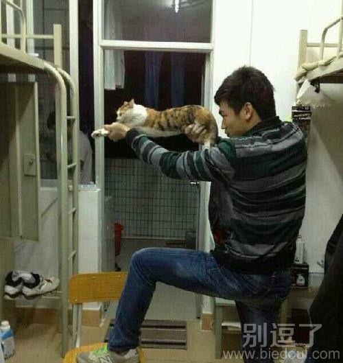 带着小猫装装样子。。 图片