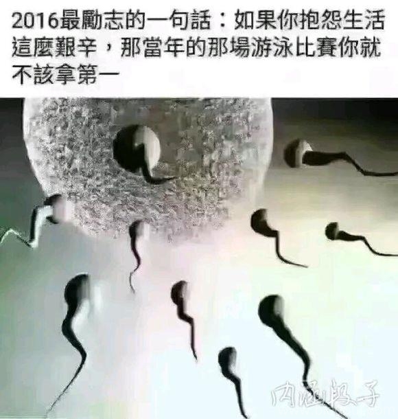 2016年最励志的笑话 图片