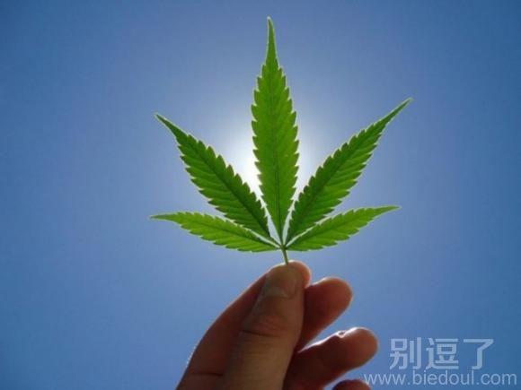 蓝天绿叶 好美好，内涵 图片